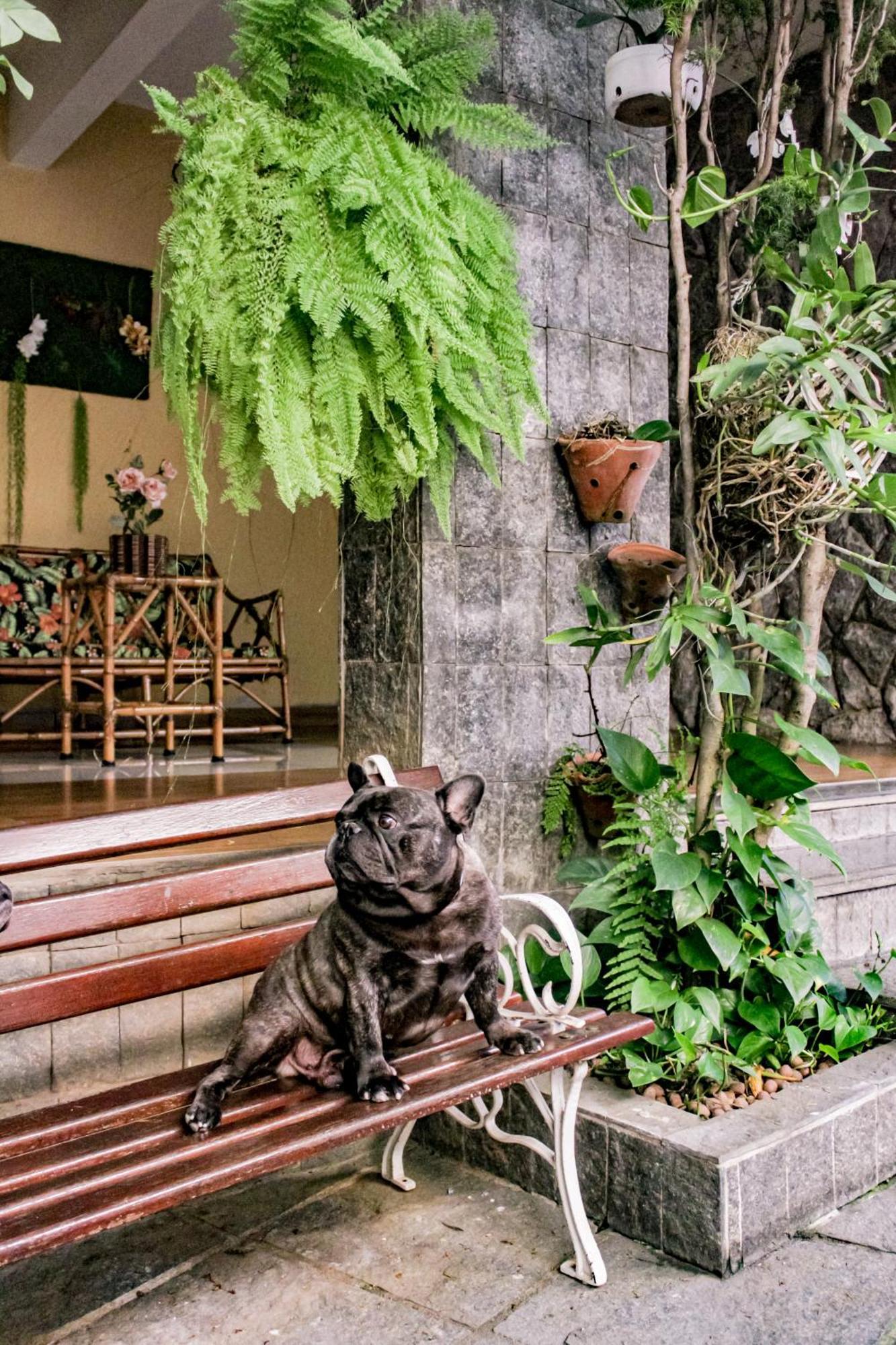 Hotel Primavera Betim Zewnętrze zdjęcie